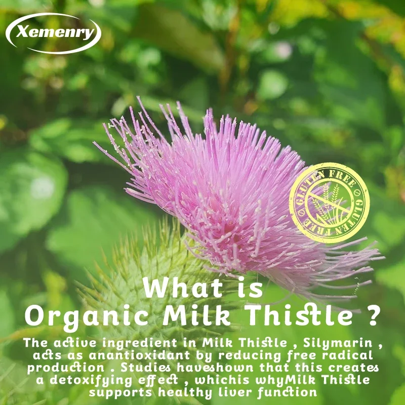 Очищение печени для детоксикац – обзор и цена Milk Thistle Silymarin