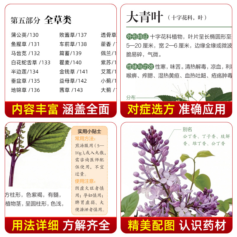Иллюстрированный справочник по – обзор и цена Herbal Wellness Book